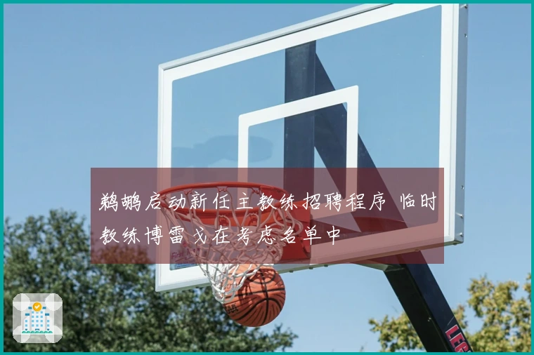 鹈鹕启动新任主教练招聘程序 临时教练博雷戈在考虑名单中